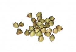 Buchweizen Kerne Deutschland