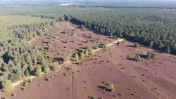 Luftbild Lüneburger Heide